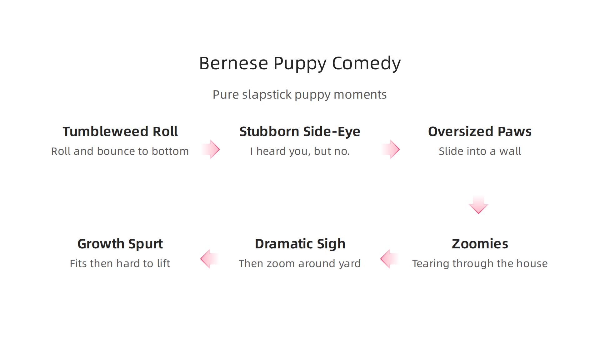 An infographic highlighting the distinct elements that make Bernese Mountain Dog puppies inherently comedic.