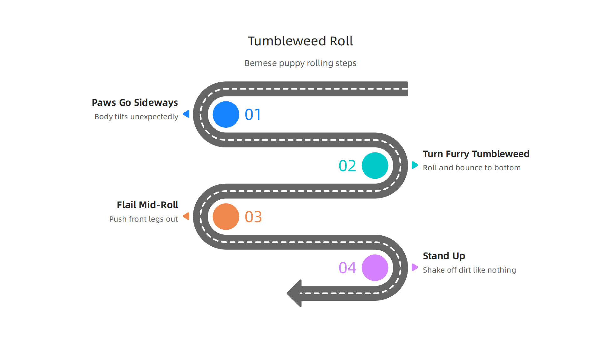Visualizing the steps of a Bernese Mountain Dog puppy's characteristic 'tumbleweed roll' down a hill.