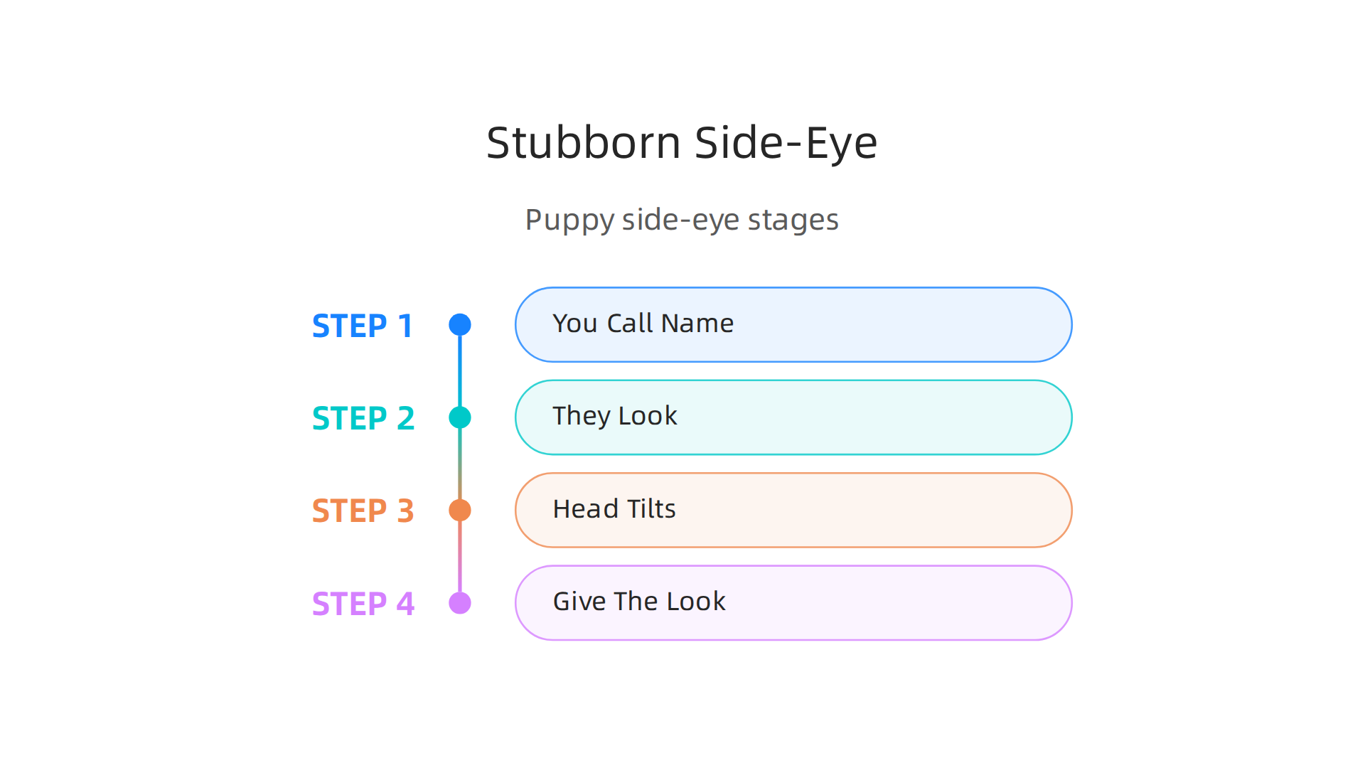 A step-by-step breakdown of the Bernese Mountain Dog puppy's classic stubborn side-eye expression.