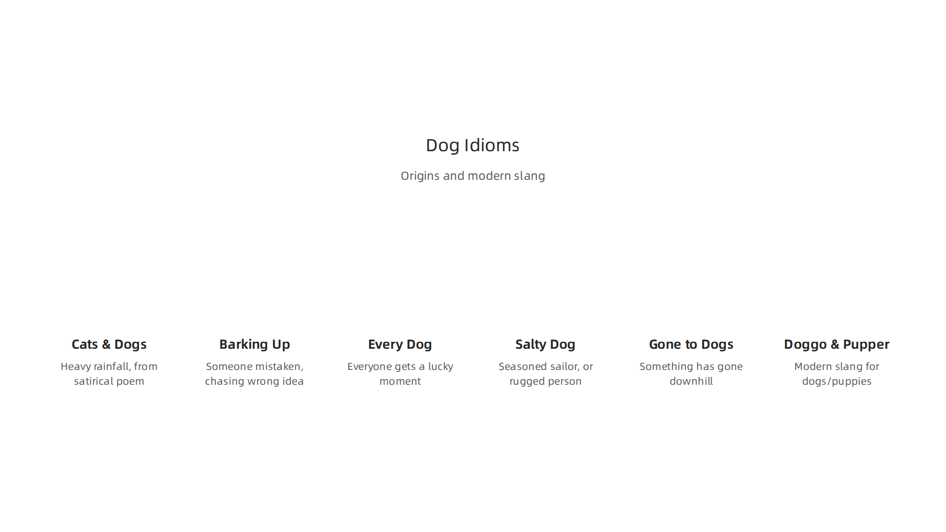 Visual guide to common dog-related phrases, their origins, and modern slang.