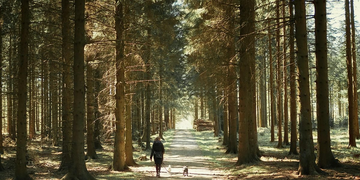 A person and their loyal dog sharing a quiet, reflective moment in a natural setting, symbolizing companionship.