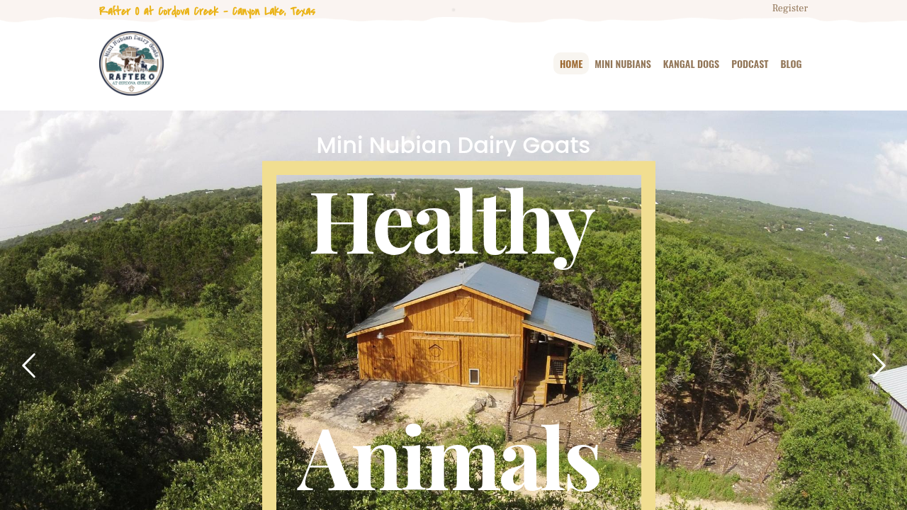 An example of a website providing information about Kangal dogs and their guardian nature.